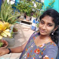 Lakshmi R