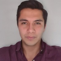 Luis Fabian Gonzalez Baltazar