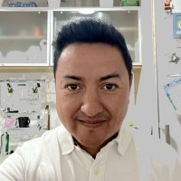 David Villarroel Collao