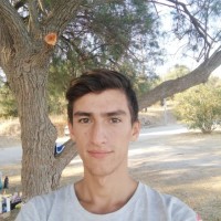 Ali Alipour