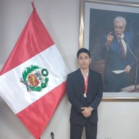 Nicolas Gabriel Mendoza Ulloa