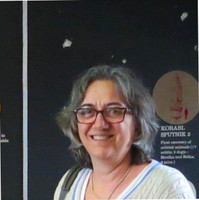 Lidija Bozinovska(Najdovska)