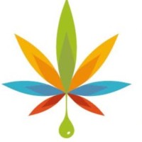 Colombian Hemp Industry