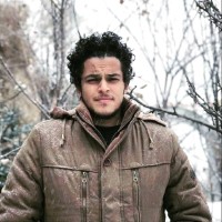 Hisham Soltan