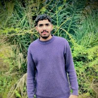Adil Fiaz