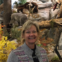 Bev Waite Sullivan