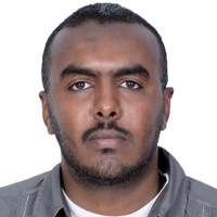 Wail Ismail