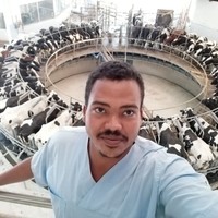 Mohammed Alfatih Mohammed Ahmed