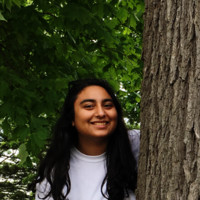 Hiba Farid