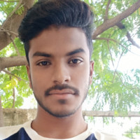 Praveen Chakravarty