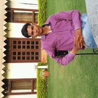 Narayan Louhar
