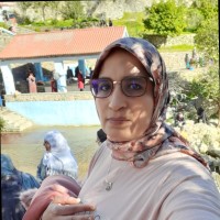 Nada Karawan