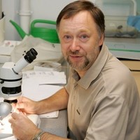 Jevgeny Jakovlev