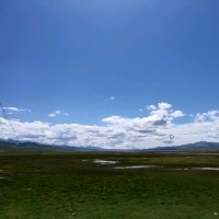 刘强东