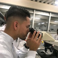 Renato Guedes da Silva