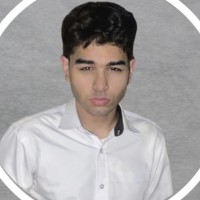 Faizan S.