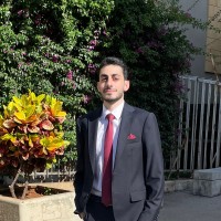 Karim Araybi
