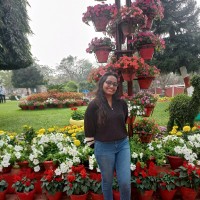 Ankita Swain