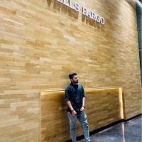 Vivek V