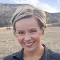 Paige Swett - Sarkkinen