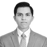 Mario Arturo Sanchez Ruelas