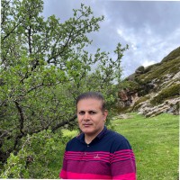 Mahmoud Ghorbanloo