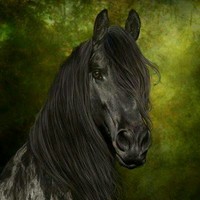 Samuel Vasile Solomonean