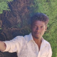 Harry Mark