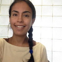 Marisol Toledo Martínez