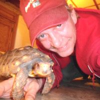 Dan Tollefson