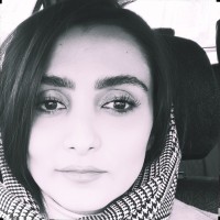 Seyyedeh Faezeh Hassani