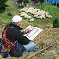 Xasan Khayr