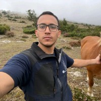 Abdelhadi Elouakili