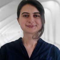 Ani Barseghyan