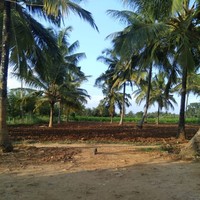 Murthy Mp