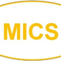 My IT Consultancy Services