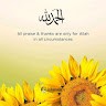 Niza Khalid