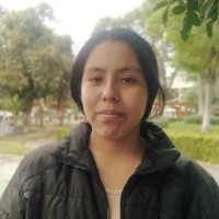 Alisson Nicol Egoavil Gamarra