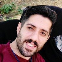 Mohammad Mobasher Amini