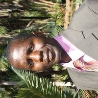 Onai Chimujakazi