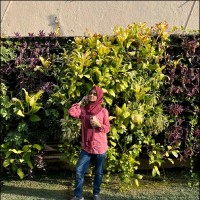 Haaniya Syal