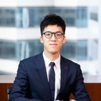 Felix Chan, Cpa, Hkacg, Hkcgi Cert Esg