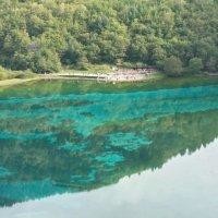 金海洋