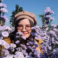 Wisinee Chanwittayapat