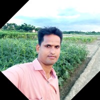 Murad Sarkar