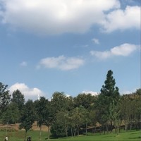 李朋飞