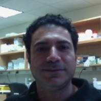 Rami Najjar