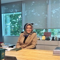 Elif Kizilaslan