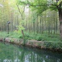 胡龙生