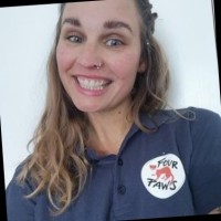 Tanya Van Tonder